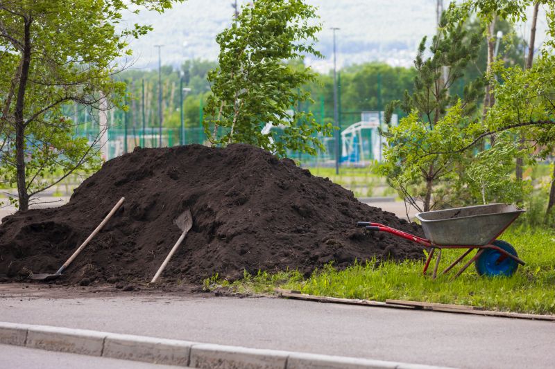 Completed Landscaping with Black Dirt